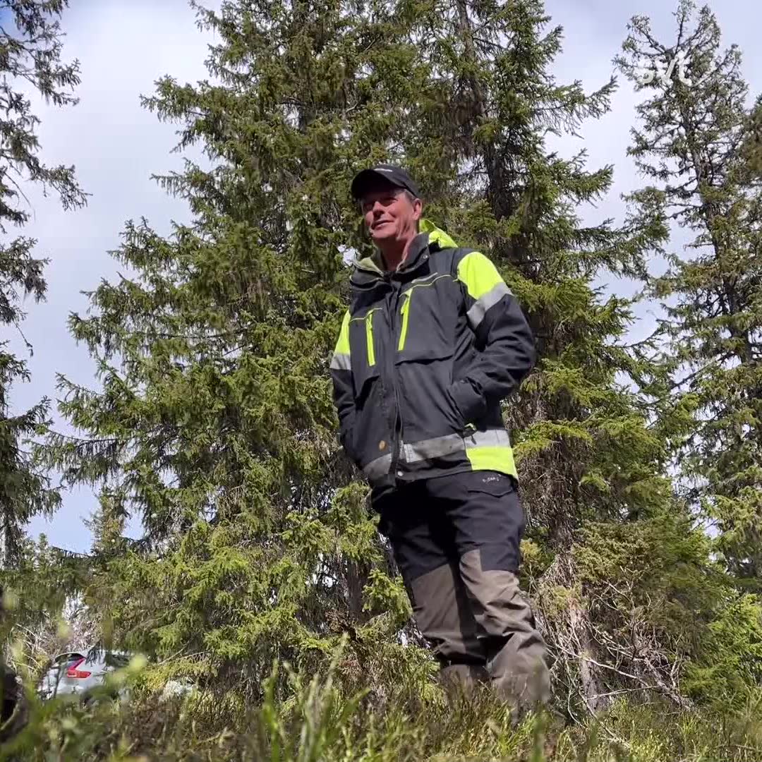 Nya avtal ska skydda fjällskogen